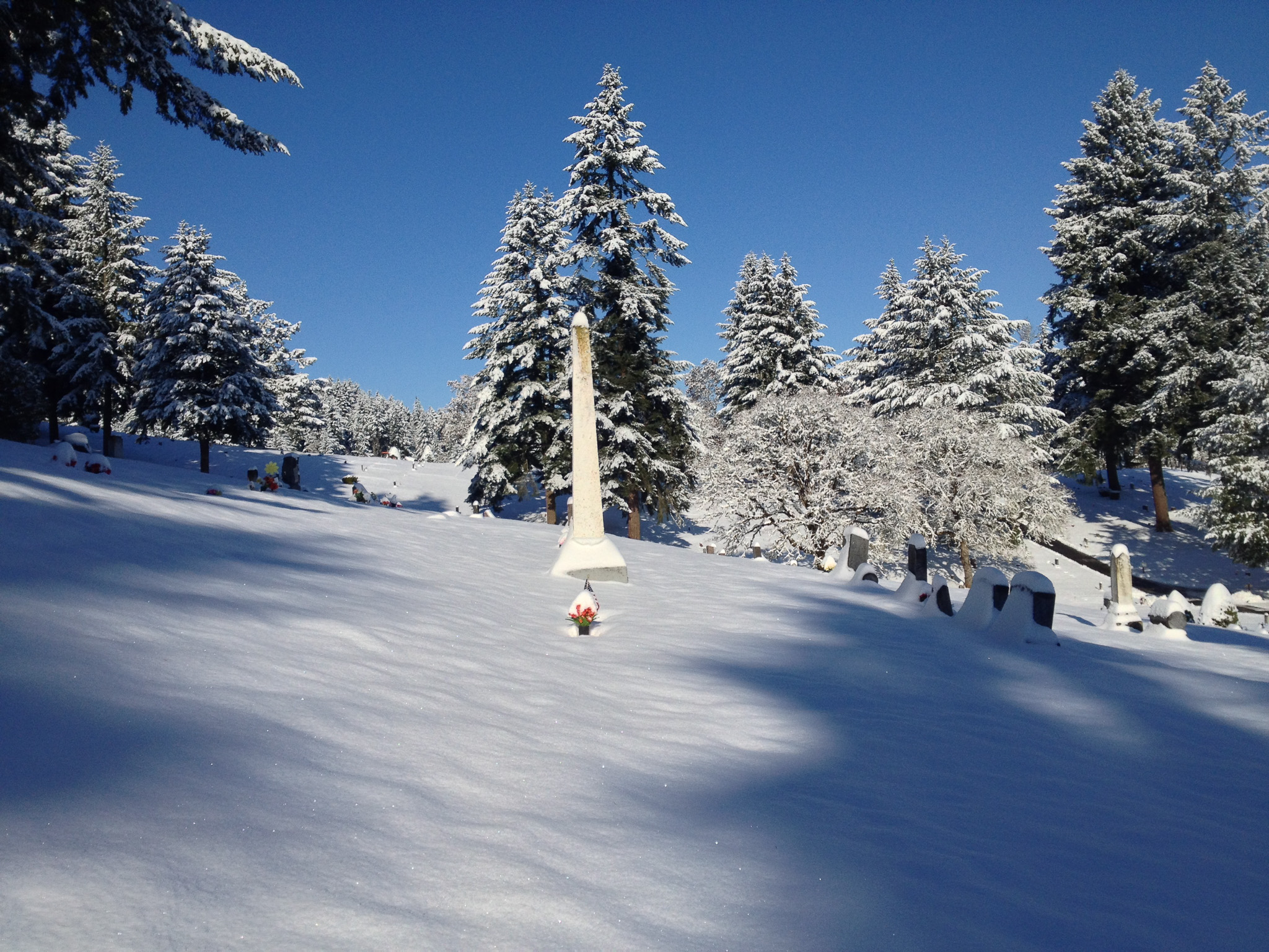 Peaceful Memorial Settings Fir Grove Cemetery